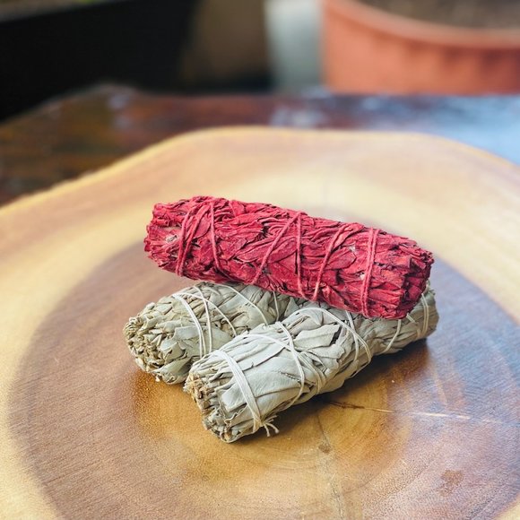 Organic Sage Variety 3 Pack( 4 Inch ) - Picture 3 of 5